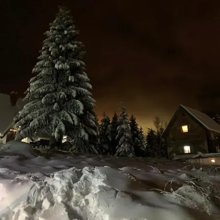 アパート G&d コパオニク